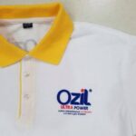 ozil029